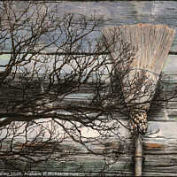Buy canvas prints of Cinnamon Broom   misc  by Elaine Manley