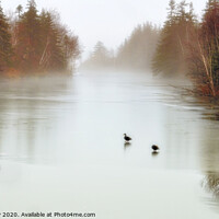 Buy canvas prints of Ducks on Frozen Pond by Elaine Manley