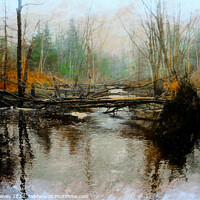 Buy canvas prints of Fallen Tree by Elaine Manley
