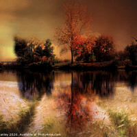 Buy canvas prints of Autumn Splendor 2 by Elaine Manley