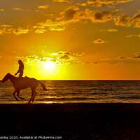 Buy canvas prints of Horseback Riding at Sunset by Elaine Manley