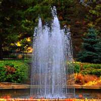 Buy canvas prints of The Water Fountain by Elaine Manley
