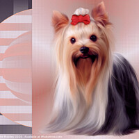 Buy canvas prints of Yorkshire Terrier by Elaine Manley