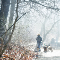 Buy canvas prints of Walking the dogs in the Fog by Elaine Manley