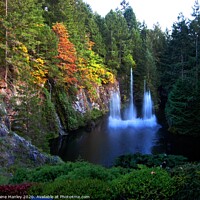 Buy canvas prints of Waterfall at Butchart Gardens Victoria  Canada by Elaine Manley