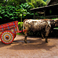 Buy canvas prints of The Cow and Cart by Elaine Manley