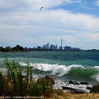 Buy canvas prints of Toronto Shores by Elaine Manley