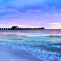 Buy canvas prints of Naples Beach Pier , Florida by Elaine Manley