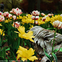 Buy canvas prints of  Spring Tulip Flower Garden by Elaine Manley