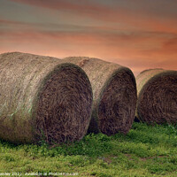 Buy canvas prints of Bales of Hay  by Elaine Manley