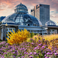 Buy canvas prints of Allen Gardens Floral Conservatory Toronto Canada by Elaine Manley