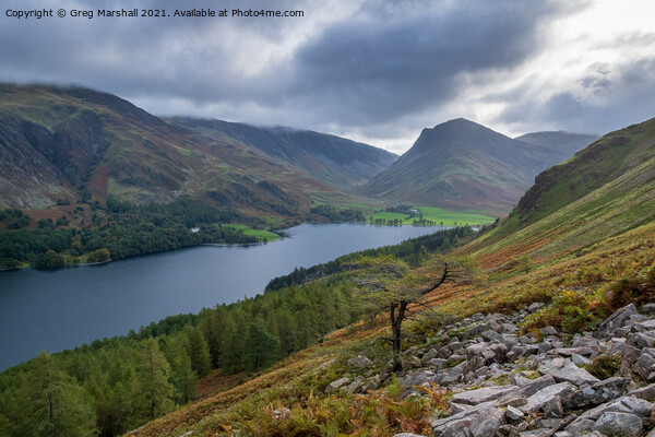 Buttermere, Fleetwith Pike and Dale Head Lake District Picture Board by Greg Marshall