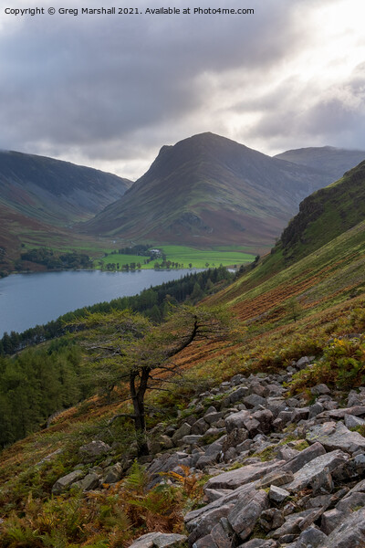 Buttermere, Fleetwith Pike and Dale Head Lake District Picture Board by Greg Marshall