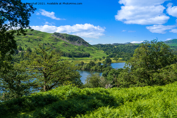 Loughrigg Fell and Grasmere from the Coffin Route Lake District Picture Board by Greg Marshall
