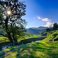 Buy canvas prints of At the end of the day, Easedale, Grasmere, The Lake District by Greg Marshall