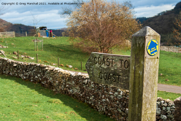Coast to Coast long distance walk signpost   Picture Board by Greg Marshall