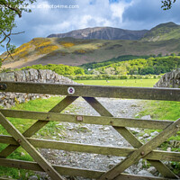 Buy canvas prints of Gate to the Wainrights in Buttermere by Greg Marshall