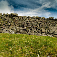 Buy canvas prints of Dry Stone Wall in The Yorkshire Dales by Greg Marshall