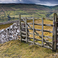 Buy canvas prints of Yorkshire Dales Gate Swaledale by Greg Marshall