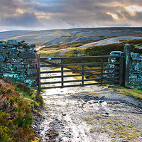 Buy canvas prints of Yorkshire Dales Gate Upper Swaledale by Greg Marshall