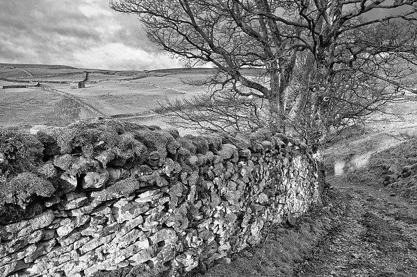 Yorkshire barns near Keld Picture Board by Greg Marshall