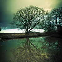 Buy canvas prints of Gothic Sleepy Hollow Tree Reflection by Greg Marshall