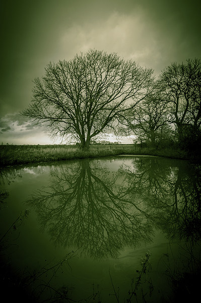 Sleepy Hollow Green Tree Reflection Picture Board by Greg Marshall