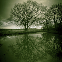 Buy canvas prints of Sleepy Hollow Green Tree Reflection by Greg Marshall