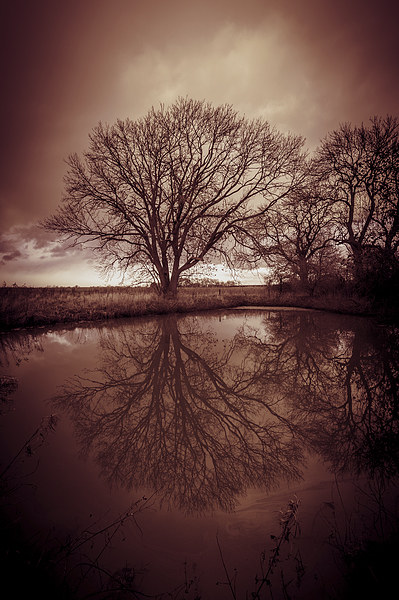 Sleepy Hollow Red Tree Reflection Picture Board by Greg Marshall