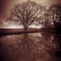 Buy canvas prints of Sleepy Hollow Red Tree Reflection by Greg Marshall