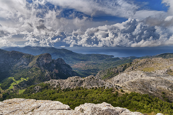 Soller Mallorca from Puig Ofre Picture Board by Greg Marshall