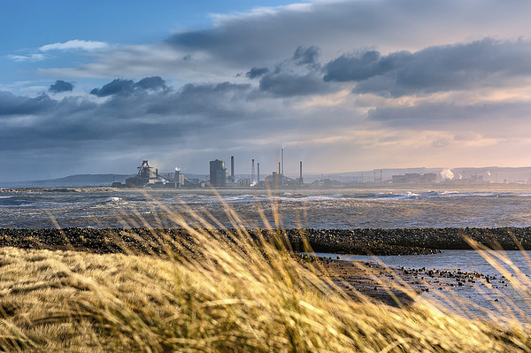 Redcar steelworks across the River Tees Picture Board by Greg Marshall