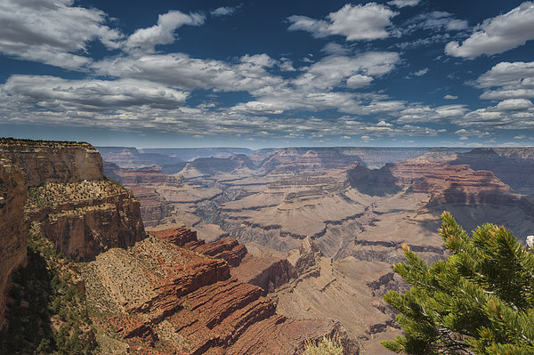  The Grand Canyon Arizona USA Picture Board by Greg Marshall