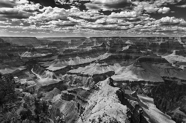 The Grand Canyon Arizona USA Picture Board by Greg Marshall