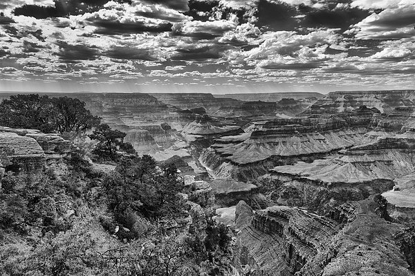 The Grand Canyon and Colorado River  Picture Board by Greg Marshall