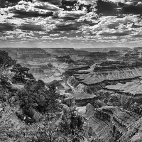 Buy canvas prints of The Grand Canyon and Colorado River  by Greg Marshall