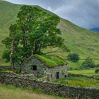 Buy canvas prints of Lone Barn with trees Hartsop Lake District by Greg Marshall