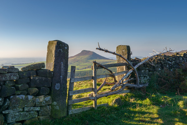 Roseberry Topping framed by gate Picture Board by Greg Marshall
