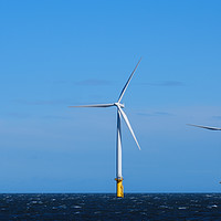 Buy canvas prints of Wind Turbines Redcar North Sea by Greg Marshall