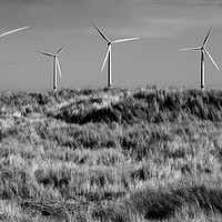 Buy canvas prints of Wind Turbines Redcar North Sea by Greg Marshall