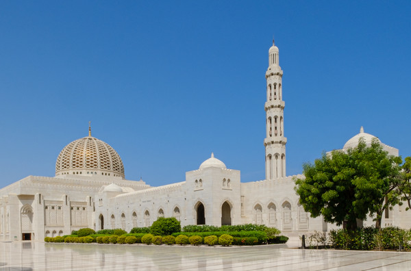 Sultan Qaboos Grand Mosque, Muscat, Oman Picture Board by Greg Marshall