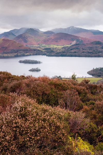 View of Cat Bells, Robinson, Dale Head and other W Picture Board by Greg Marshall