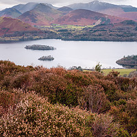 Buy canvas prints of View of Cat Bells, Robinson, Dale Head and other W by Greg Marshall