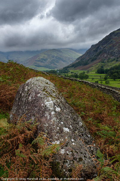 Langdale Valley Lake District in the rain Picture Board by Greg Marshall