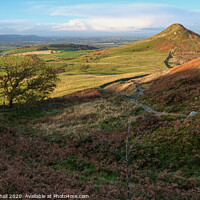 Buy canvas prints of Roseberry Topping Vista by Greg Marshall