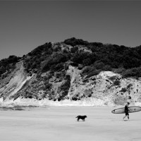 Buy canvas prints of Dude and Dog by dawn cruttenden