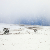Buy canvas prints of Windfarm Blizzard by Kevin Dobie