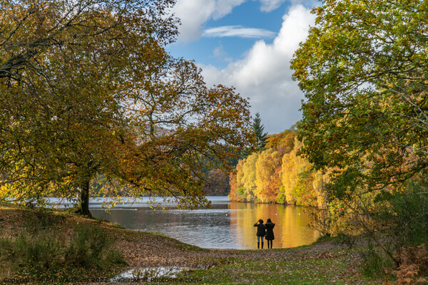 Autumn in Pitlochry Picture Board by Phil Wareham