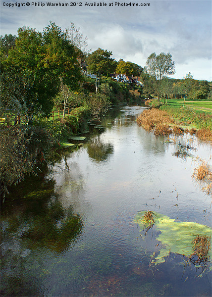 River Stour at Spetisbury Dorset Picture Board by Phil Wareham
