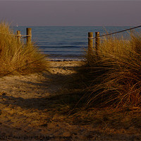 Buy canvas prints of Knoll Beach by Phil Wareham